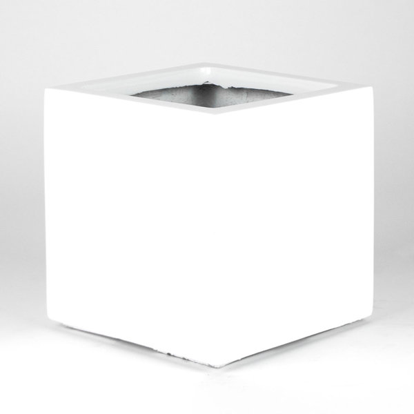 Ivy Bronx Autmn Planter Box Wayfair